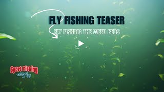 FLY FISHING TEASER FLY FISHING THE WEED BEDS  SHOW 11 OF SERIES 27 [upl. by Edualcnaej237]