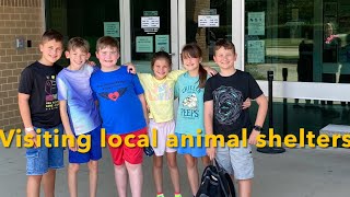 Dawson’s Summer Diaries Episode 69 Visiting local animal shelters [upl. by Layney]