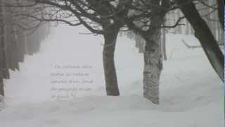 Footprints in the Snow  Des pas sur la neige  Preludes Book 1 No 6 Debussy [upl. by Sclater478]