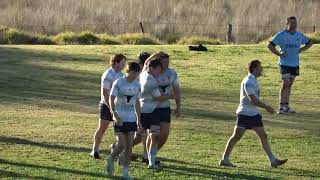 Lions v Narrabri first grade tries today [upl. by Dunc]