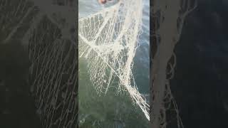 fishing fiish beachfishing fish filefish carpfishing fihing videogama beach fiahing [upl. by Sumaes163]