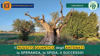 Il RUGGITO QUANTICO degli ANTENATI [upl. by Suilenrac]