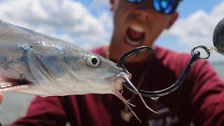 Lets See What Happens Saltwater CATFISH USED As Bait Challenge [upl. by Zaria223]