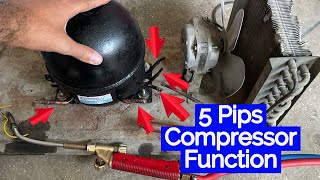 Refrigerator Compressor 5 Pipe Function Explain in UrduHindi [upl. by Corty]