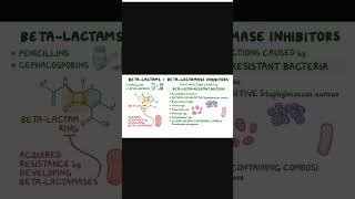 Mechanism of action of beta lactam antiobiotics  Medicinal Chemistry  Shorts  genericmedicine [upl. by Ahsitram212]