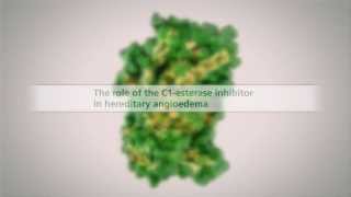 The Role of the C1Esterase Inhibitor in HAE [upl. by Iolanthe203]