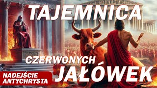 Co zwiastują Czerwone Jałówki Tajemnica Czerwonych Jałówek i nadejścia Antychrysta [upl. by Nitsirk]