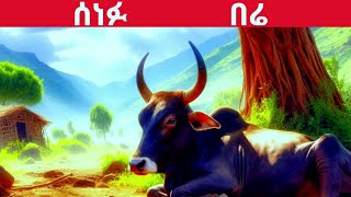 new teret teretamharic fairy tales newሰነፉ በሬteret [upl. by Zevahc]