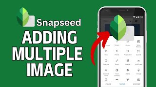 How to Add Multiple Images in Snapseed 2024 [upl. by Airlee]