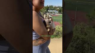 Couple Finds An Abandoned Bunny On Their Walk  The Dodo [upl. by Euqirat483]