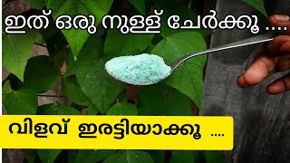 ഇത് ഒരു നുള്ള് ചേർക്കൂവിളവ് ഇരട്ടിയാക്കൂMicronutrients for plants [upl. by Kwang]