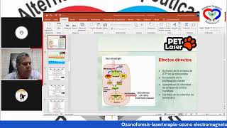 Laserterapia en veterinaria [upl. by Kemeny]