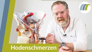 Schmerzen in den Hoden oder der Leiste  Das sind die häufigsten Ursachen  Urologie am Ring [upl. by Rogergcam]