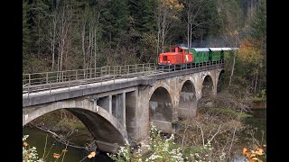 Feistritztalbahn FtB VL 12 von Birkfeld nach Rosegg und retour am 24 10 2024 [upl. by Yhcir]