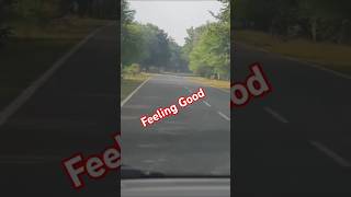 feeling good Driving Song short youtubeshorts viralshorts viralvideo [upl. by Anetsirhc]