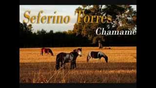 Seferino Torres  Chamamé [upl. by Favianus]