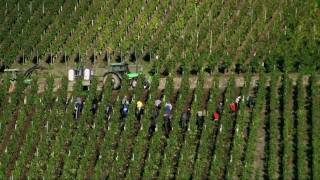 Moseldalen i Tyskland BernkastelKues Romantiska Mosel  Turism [upl. by Enelehcim]