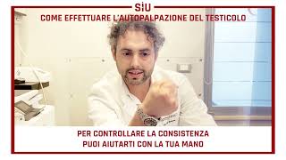 Come effettuare lautopalpazione del testicolo [upl. by Nitsug]