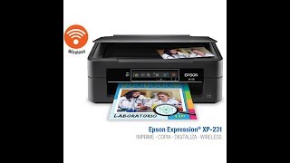 Como baixar e instalar o aplicativo Epson Scan driver da Impressora xp 231 [upl. by Livvyy]