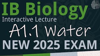 NEW 2025 EXAM  IB Biology A11  Water SLHL  Interactive Lecture [upl. by Iaria]