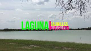 Laguna de salinillas NL [upl. by Gnirol]