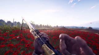 Battlefield 1 Lebel 1886 animations [upl. by Teodoro]