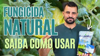 Fungicida Natural Como Escolher e Usar para Proteger Suas Plantas [upl. by Maller]