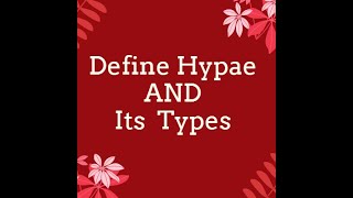 Define Hyphae and its Types Sptate AND non Septate Hyphae [upl. by Ecirtaeb]