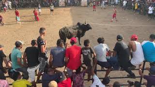 Montadas De Toros Granada Nicaragua 2019 1 [upl. by Mirisola]