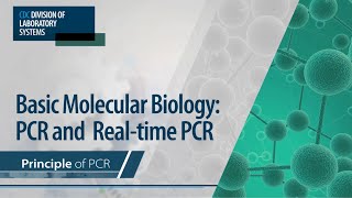 Basic Molecular Biology PCR and RealTime PCR – Principle of PCR [upl. by Pascia]