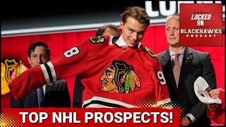 Connor Bedard Tops Corey Pronmans Top NHL Prospects List [upl. by Ramey]