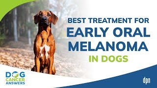 Best Treatment for Early Oral Melanoma in Dogs QampA  Dr Brooke Britton [upl. by Merle873]