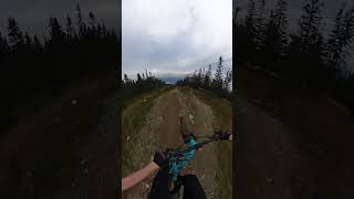 POV Hafjell bikepark📍 fypシ゚viral mtb goingdownhill viralvideo goproactioncamera downhill [upl. by Jobey]