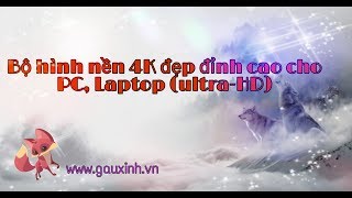 Bộ hình nền 4K đẹp đỉnh cao cho PC Laptop ultraHD  Gấu xinh 🐾 [upl. by Aivatnohs]