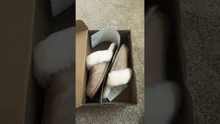 new uggs scufettes in sand ugg uggs slippers winter [upl. by Shu]