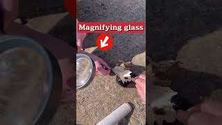 How to start a fire with a magnifying glass [upl. by Irv]