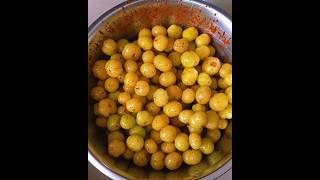 Phyllanthus acidus Amla harvesting short videoAmla fruit🤤😋amlatreeamla [upl. by Aldric]