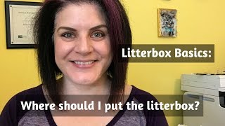 Litterbox Basics Where should I put my cats litterbox [upl. by Patrice280]