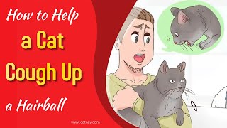 How to Help a Cat Cough Up a Hairball [upl. by Orlantha]