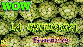 CHIRIMOYA Y SUS BENEFICIOS [upl. by Peters]