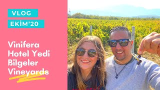 VLOG Vinifera Hotel Yedi Bilgeler Vineyads’da Arkadaşlarımızla Tatil [upl. by Anival]