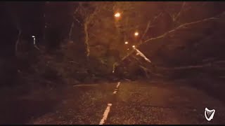 VIDEO Trees downed and roads blocked by Storm Eleanor damage in Co Armagh [upl. by Valerio]