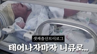 드디어 셋째출산👶❤️  선천성 심장병 TOF아가 출산기 제왕절개 수술후기  대학병원 출산  출산브이로그 [upl. by Bonn]