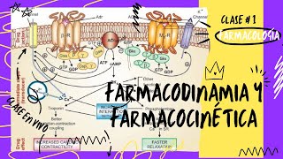 1 FARMACODINAMIA Y FARMACOCINÉTICA [upl. by Ainez]