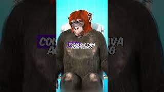 Transplante de cabeça INACREDITÁVEL shorts curiosidades animais macaco [upl. by Crysta535]