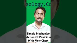 Mechanism Action Of Beta Lactam Antibiotics In pharmocolog For Bsc Nursing 4th Semester nursing [upl. by Adnalor]