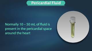 Fluid Examination Specific [upl. by Urbanus]