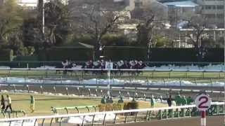 2013 AJCC The America Jockey Club Cup ダノンバラード Danon Ballad [upl. by Eniger]