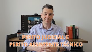 peritojudicial e perito ASSISTENTE TÉCNICO [upl. by Iives]