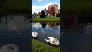 beautiful view at the lake of Hever Castle located at Edenbridge Kent United Kingdom [upl. by Pros]